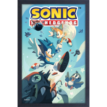 Sonic the Hedgehog - Flying Birds (11"x17" Gel-Coat) (Order in multiples of 6, mix and match styles)