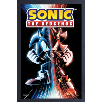 Sonic the Hedgehog - Sonic/Shadow (11"x17" Gel-Coat) (Order in multiples of 6, mix and match styles)